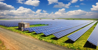 Solar Farm Business